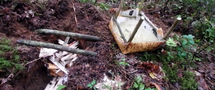 How to purify and disinfect water in the forest without a pot or flask