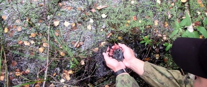 How to purify and disinfect water in the forest without a pot or flask