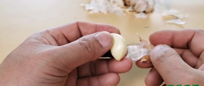 Mengupas ulas bawang putih dengan tangan kosong dengan cepat dan tanpa pisau