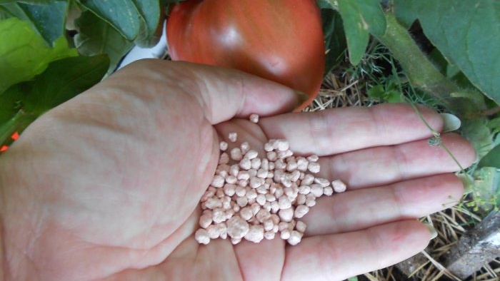 A universal recipe for feeding tomatoes during fruit ripening