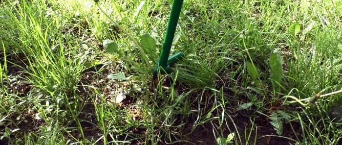 How to make a device for removing weeds by the root