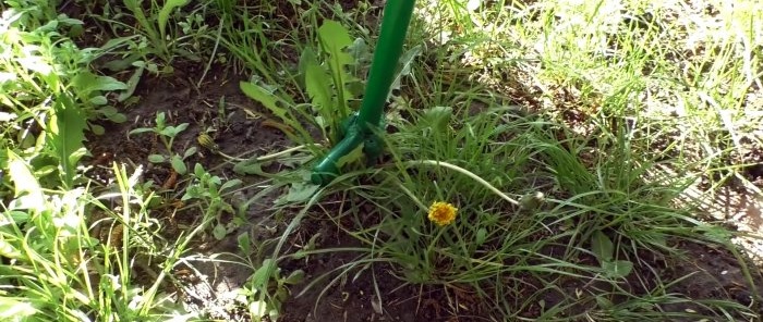 How to make a device for removing weeds by the root