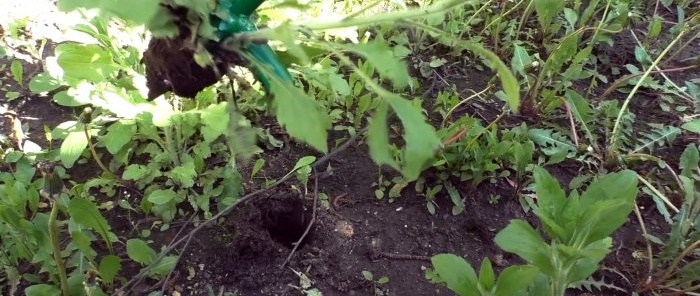 How to make a device for removing weeds by the root