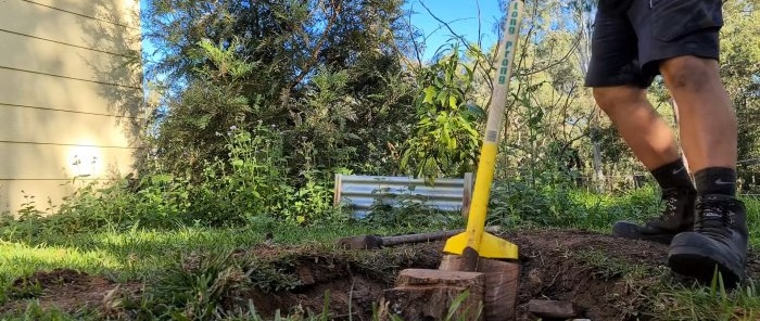 How to remove a large stump using a wedge is easy