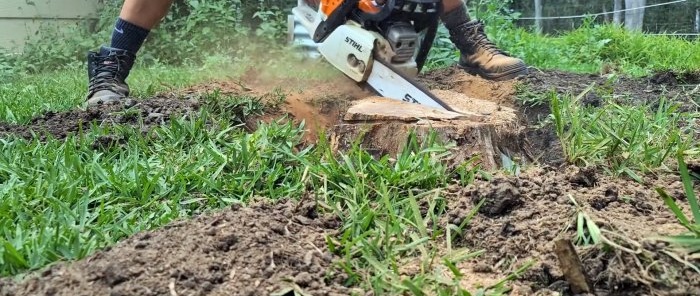 How to remove a large stump using a wedge is easy