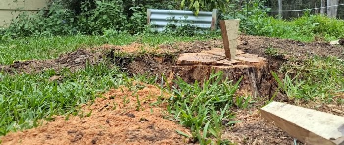 How to remove a large stump using a wedge is easy