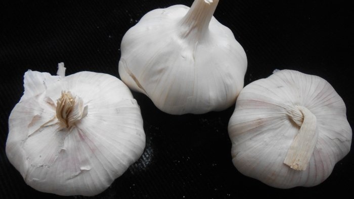 Three dressings of garlic for a large harvest