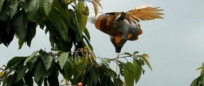 With such a stuffed PET bottle, birds will not fly within a kilometer of your site