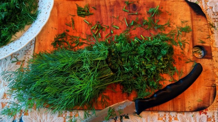 Collecting and drying dill in natural conditions