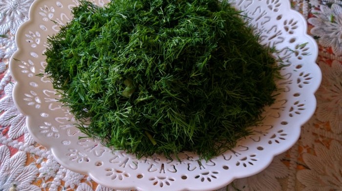 Collecting and drying dill in natural conditions