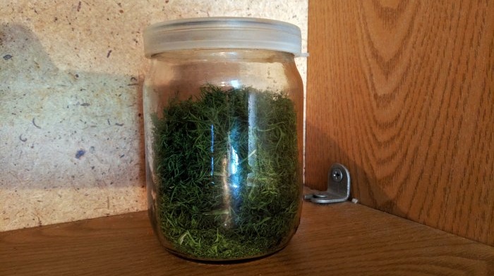 Collecting and drying dill in natural conditions