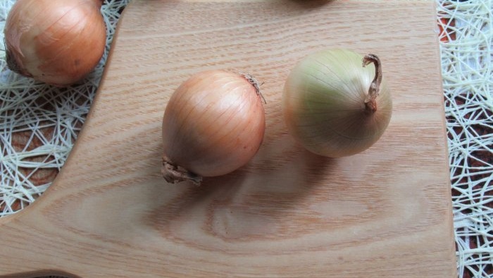 Have grown a lot of onions and want to store them easily Make onion powder