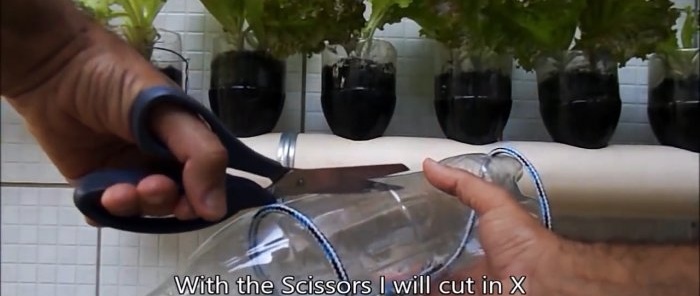 How to make an automatic watering system from an ordinary bottle