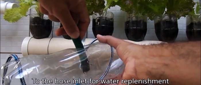 How to make an automatic watering system from an ordinary bottle