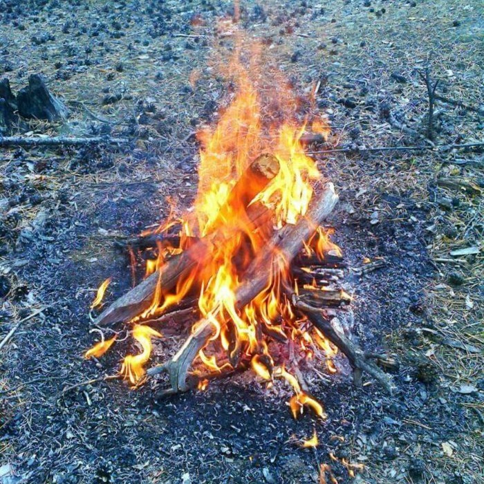 Как да запалим огън в гората без кибрит или запалка