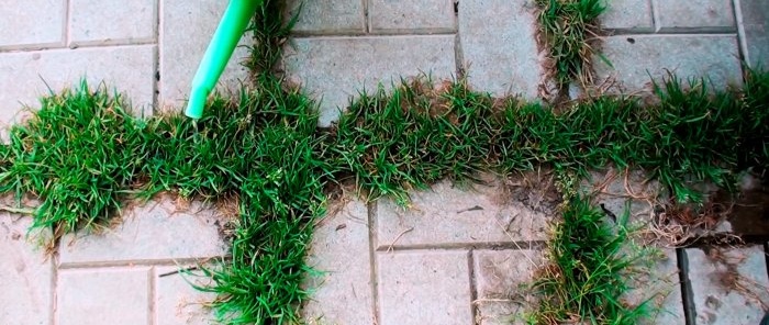 A cheap product will get rid of grass between the tiles