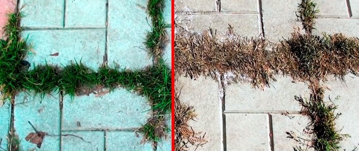 A cheap product will get rid of grass between the tiles