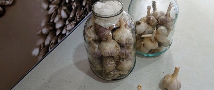 After a year of storage, fresh garlic is the best way to preserve the harvest.