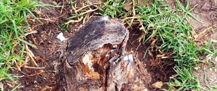 How to remove a tree stump using a car jack