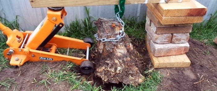 How to remove a tree stump using a car jack