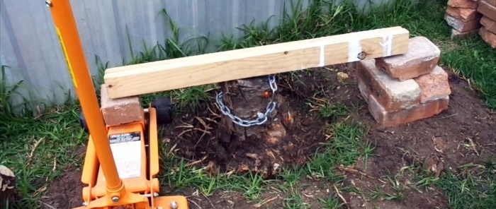 How to remove a tree stump using a car jack