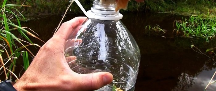 How to make a catchable fish trap from a PET bottle