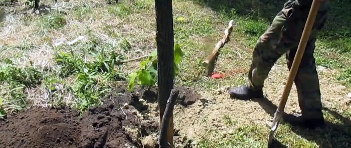 Il ne pourrira pas Comment installer des poteaux en bois dans le sol