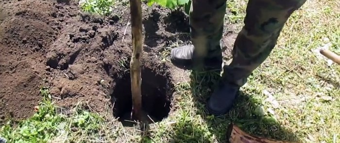 Il ne pourrira pas Comment installer des poteaux en bois dans le sol