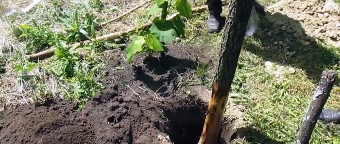 Il ne pourrira pas Comment installer des poteaux en bois dans le sol