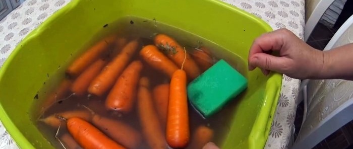 A reliable method of storing carrots and beets that has been proven over the years