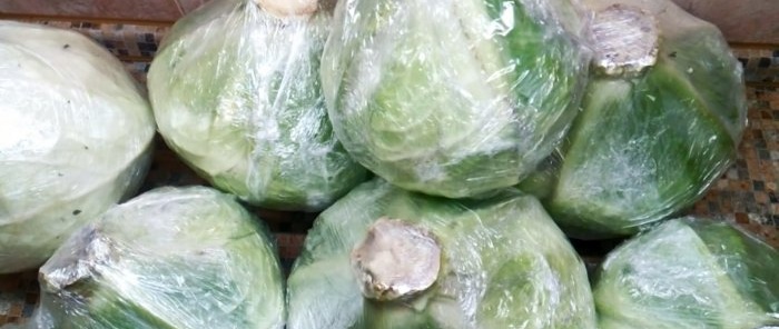 100 ways to preserve cabbage until the next harvest in the cellar, basement, attic or balcony