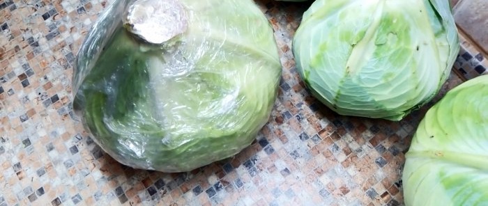 100 ways to preserve cabbage until the next harvest in the cellar, basement, attic or balcony