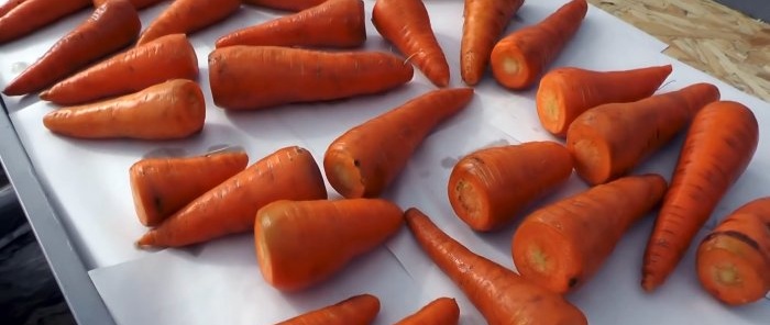 How to keep carrots and beets juicy without a cellar