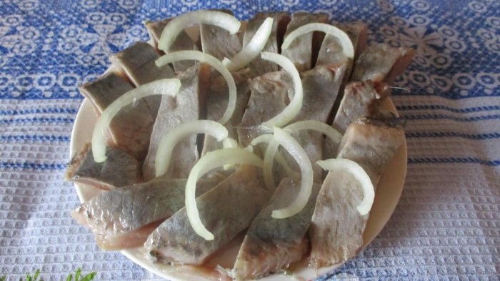 How to deliciously salt herring at home