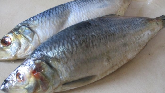 One secret how to fry herring incredibly tasty