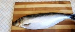 A tricky way to quickly cut herring into boneless fillets