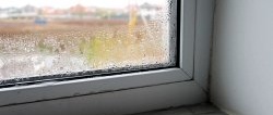 Are the windows leaking? Non-standard, but 100% solution to the problem