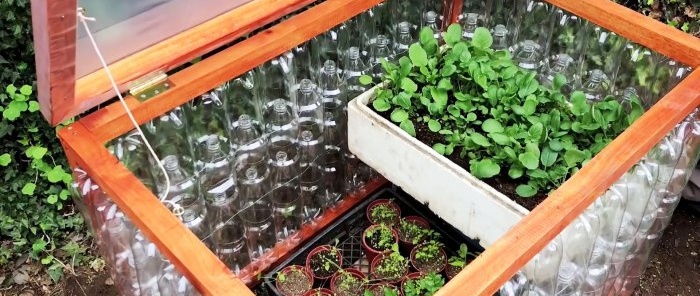 The idea of ​​a homemade greenhouse from PET bottles