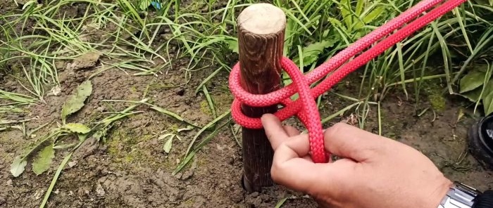 10 useful knots that will come in handy in life