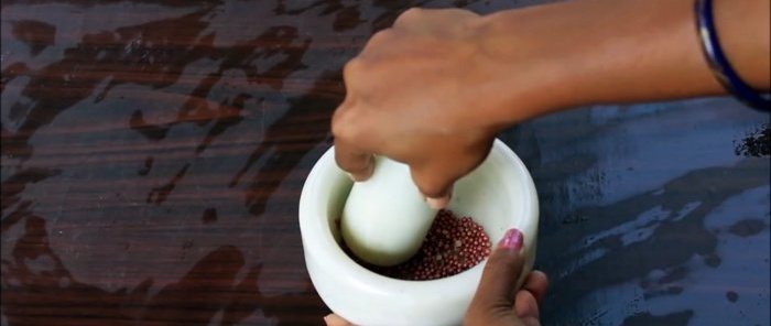 An easy way to grow coriander hydroponically on your windowsill