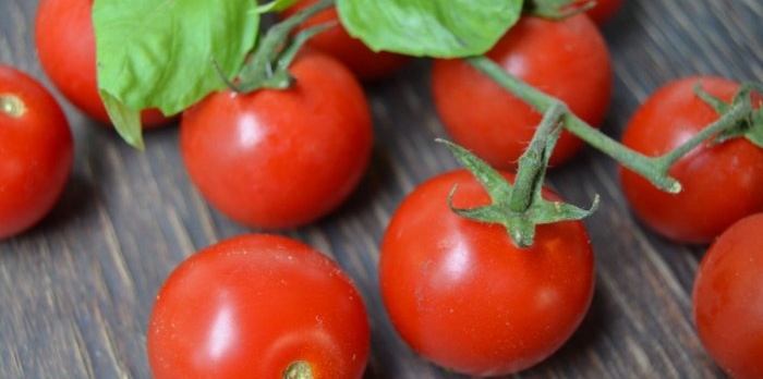 All the subtleties and secrets of properly planting tomatoes for seedlings