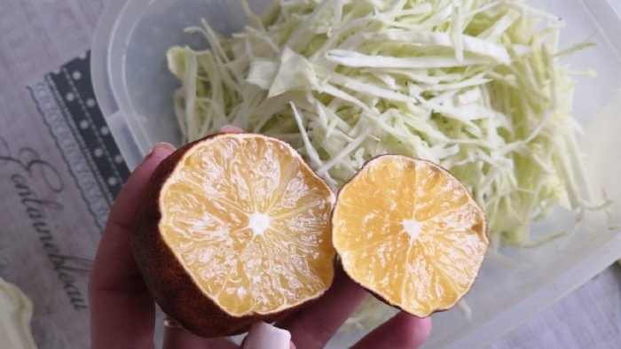 Cabbage and caviar salad for 100 rubles you will cook again and again