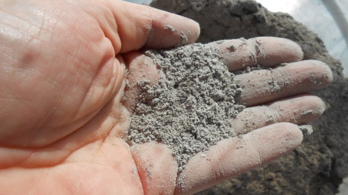 Piantare cipolle e aglio insieme per forzare le verdure