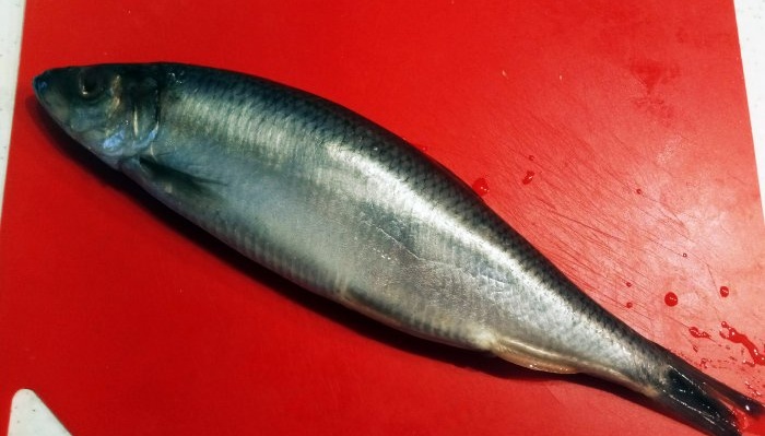 How to make preserved herring in lemon juice