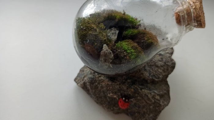 How to make a terrarium in a light bulb