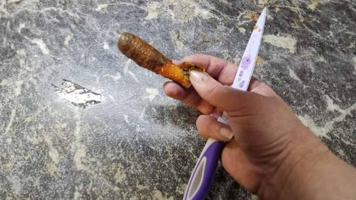 Life hack for housewives: why do I freeze unwashed carrots and what are the advantages of this type of storage?