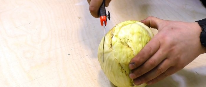 How to make a powerful cabbage shredder from a stepper tap