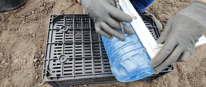 The simplest drip irrigation from a plastic bottle for a strong harvest