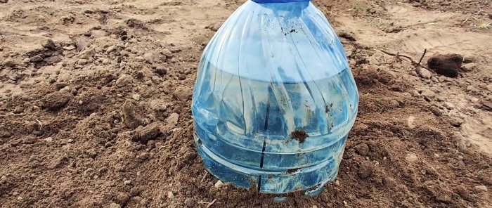 The simplest drip irrigation from a plastic bottle for a strong harvest