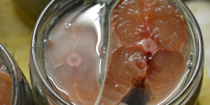 Homemade canning of pink salmon in a pressure cooker